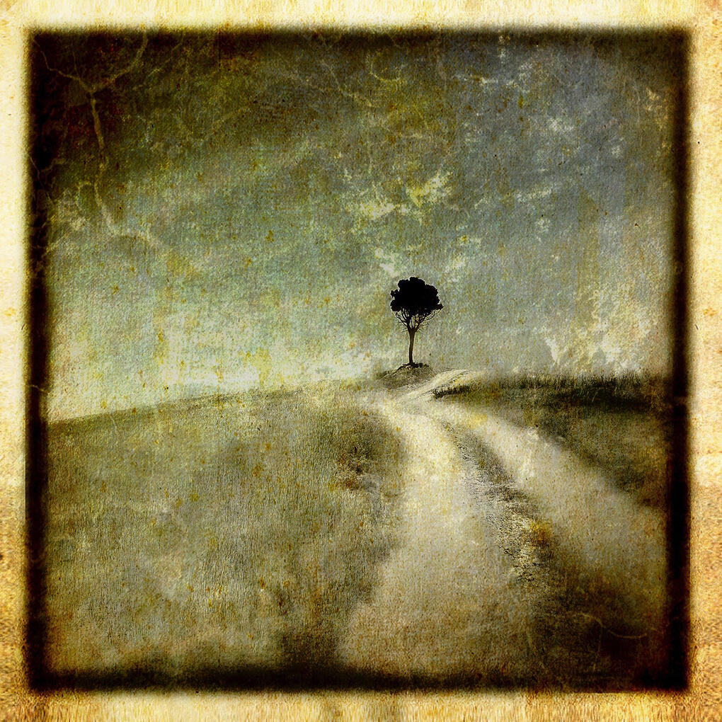 Lone Tree, one of my earliest photographs taken on an iPhone4